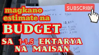 MAGKANO MAGAGASTOS SA 1 HECTARE NA SAKAHAN NA MAIS [upl. by Hines]