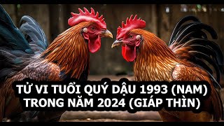 Tử vi tuổi Dậu 1993 năm 2024 Nam mạng  Công danh thuận lợi [upl. by Selemas]