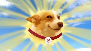 sundog mining platform 🔥 start doge mining and earn free airdrops 🔥 [upl. by Ahsiuqal]