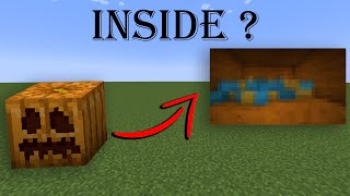 whats inside the Minecrafts pumpkin [upl. by Jeu188]