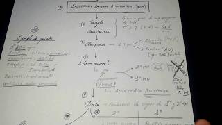 Esquema en 8 minutosEsclerosis Lateral Amiotrófica  ELA [upl. by Abe]