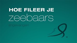 Hoe fileer je zeebaars lijngevangen [upl. by Venus]