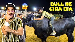 50 LAKH K BULL NE GIRA DIA😱  ADVENTURE VLOG  MISHKAT KHAN  THE FUN FIN [upl. by Acceb]