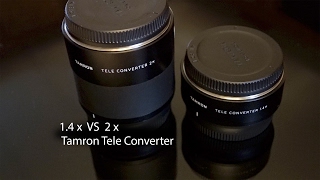 Tamrons 14x vs 2x Teleconverter Pros and Cons [upl. by Acinad701]