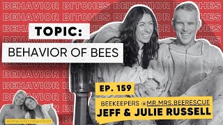 Behavior Btches Behavior of Bees with Mr amp Mrs Bee Rescue [upl. by Kcolttam315]