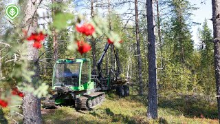 Tutustumme Jarcrac Multi metsäkoneeseen  Metsälehti [upl. by Ria]