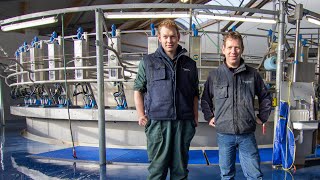 50 Point Rotary Milking Parlour Netherlands [upl. by Che]