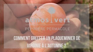 🍂 Comment greffer un Fruitier à l automne [upl. by Sergu115]