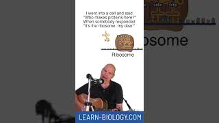 The Cell Song part 2 Rhymed Cell parts and functions cellstructure apbiology [upl. by Leinad875]