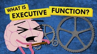 What is Executive Function and Why Do We Need it [upl. by Enajiram927]