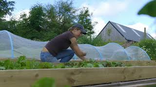 🔴 Gardeners World 2023  🍀This Impressive Kitchen Garden Grows 80 of Their Vegetables Using No [upl. by Klemm]