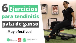 🟢 Tendinitis PATA de GANSO ⭐ 6 Ejercicios MUY EFECTIVOS  Clinicas H3 [upl. by Pinkerton]