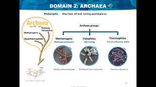 The Microbial World Basic Microbiology [upl. by Ennyroc]