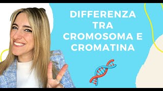 CROMATINA CROMOSOMA E DNA  DIFFERENZE 🧬 [upl. by Bushweller]