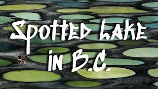 Spotted Lake in British Columbia  Canadas Strangest Lake [upl. by Terri]