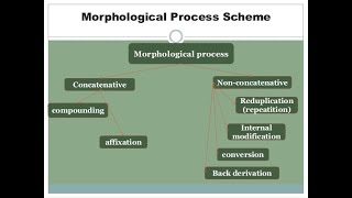 Morphological Processes Definitions and Examples [upl. by Jareen]