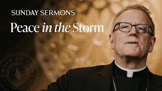 Peace in the Storm  Bishop Barrons Sunday Sermon [upl. by Thilda535]