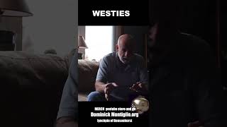 WESTIES shorts mobsters history mafia gambino movie [upl. by Yelda889]