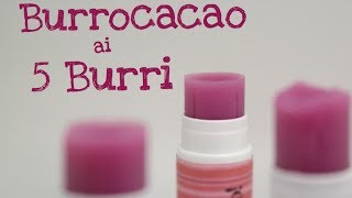 BURROCACAO AI CINQUE BURRI FATTO IN CASA DA BENEDETTA  Homemade quotfive butterquot lip balm [upl. by Acsisnarf]