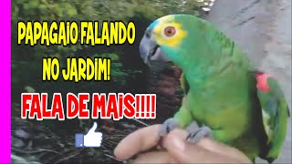 PAPAGAIO FALANDO NO JARDIM [upl. by On]