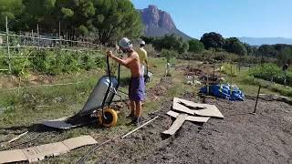 Les 1 min de Régénération Végétale quotLE BROYATquot de bois au jardin [upl. by Brodench788]