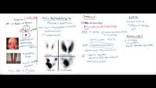 Hypothyroidism Hyperthyroidism Thyroid Storm for the USMLE [upl. by Styles]