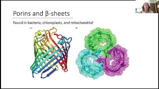 Lipid Bilayer 5 [upl. by Rajewski]