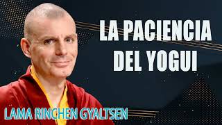 Lama Rinchen Gyaltsen  La Paciencia del Yogui [upl. by Mert]