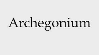 How to Pronounce Archegonium [upl. by Mechling292]