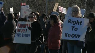 Protests held over Ottawas plan to house asylum seekers [upl. by Lanae]