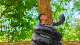 Big Anaconda Snake Attack Man In Forest  2024 [upl. by Mcclenaghan126]