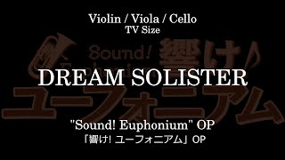 DREAM SOLISTER  quotSound Euphoniumquot OP Sheet Music [upl. by Narbig126]