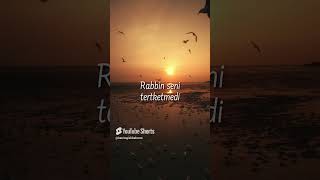 Rabbin seni terketmedi [upl. by Ococ]