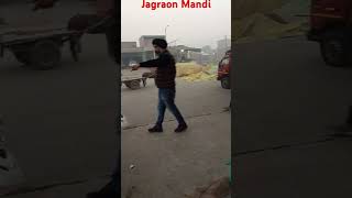 Jagraon Mandivlog subscribe my channel [upl. by Trinidad884]