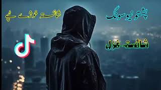 Niamat Zakhmi Pashto Best Song TikTok Viral Song 2024 نعمت زخمی پشتو سندرہ [upl. by Nadeen]