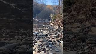 Trail damage on Lost Cove above Hunt Fish Falls chiefsholsters hiking wncstrong wnc lostcove [upl. by Airdnassac]