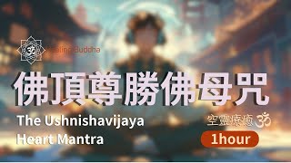 佛頂尊勝佛母心咒一小時The Ushnishavijaya Heart Mantra One hour with Handpan ⚡️空靈療癒音樂 滅惡業、離地獄、增福壽 [upl. by Kohn413]