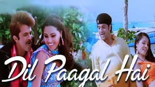 Dil Paagal Hai  No Entry  Kumar Sanu  KK  Alka Yagnik [upl. by Rafa]