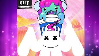 Marshmello and Slushii  Endless loveMictian Mix [upl. by Mezoff]