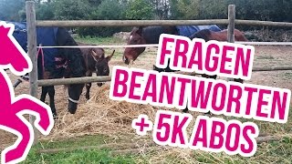 Eure Fragen beantworten und 5000 Abos  Danke [upl. by Cassella]