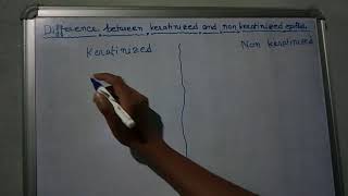 Difference between Keratinized and non keratinized epithelium [upl. by Ettereve]