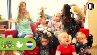 IN HOLLAND STAAT EEN HUIS  Kinderliedjes  Kinderdagverblijf  Minidisco [upl. by Bonnes]