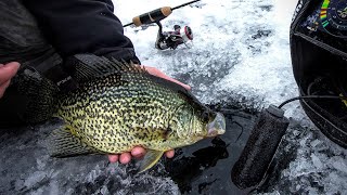 Late Ice Crappie amp Bluegill Fishing [upl. by Acisseg]