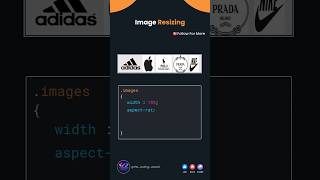 CSS Image Resizing 🔥🔥csstricksprogramminglanguage coderslifetheosblogwebdeveloperviralvideo [upl. by Edlyn]