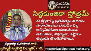 సిద్ధకుంజికా స్తోత్రమ్  Siddakunjaka stotram By Brahmasri Vaddiparti Padmakar Garu [upl. by Bradski]