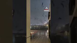 🇪🇸 🌧️ Impactante imágenes de la tragedia en Valencia España [upl. by Conlee]