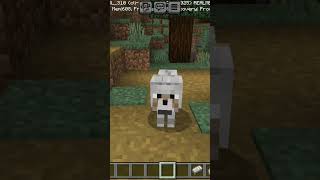 Kahe bhoko 🤣🤣🤣 minecraft gaming lokecraft minecraftpe minecraftmemes [upl. by Celestine]