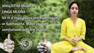 Angustha Mudra Benefit by Sudha Jain [upl. by Akiemat]