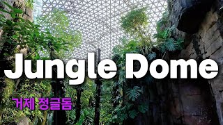 Jungle Dome Geoje Korea 거제 정글돔 한국 최대규모의 돔 열대식물원 4K [upl. by Ahsieket737]