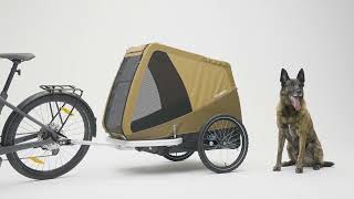 Croozer Tammo Dog Bike Trailer  XLarge Dogs [upl. by Grete]